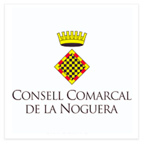 concell_comarcal-noguera